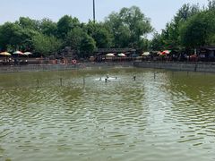 -尚庄度假村·庭台树下·户外烧烤·团建CS·轰趴营地(上庄水库店)