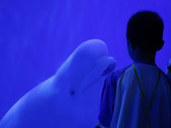 -多彩贵州城极地海洋世界