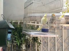 iphone_upload_pic-燕庭·纯燕窝·甜品下午茶(南京西路店)