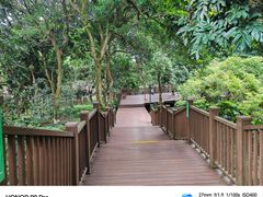 -张坝桂圆林公园