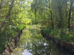 -溱湖国家湿地公园