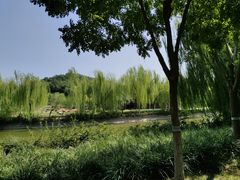 -南翠屏公园