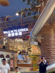 -卡通尼·Safari非洲探索乐园·生日会(金桥国际商业广场店)