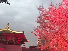 -唐城墙遗址公园