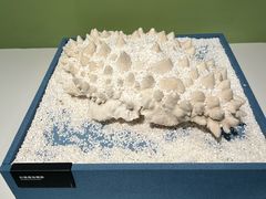 -中国湿地博物馆