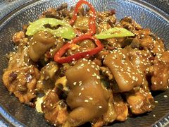 -川大刘肥肠鸡(北国店)