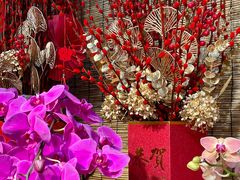 -双季花艺园艺市场(浦东店)
