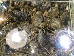 -王四营海鲜市场