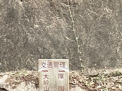 -东莞市大岭山森林公园