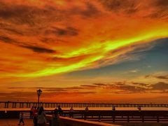 -宝安西湾红树林湿地公园