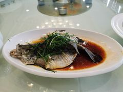 清蒸花斑-百乐门喜宴(海珠广场华厦店)