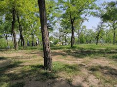 -天津东丽湖风景区