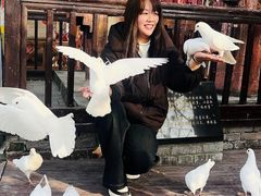-茯茶镇