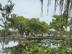 -无锡蠡湖国家湿地公园-蠡园