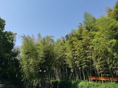 -苏州环秀晓筑养生度假村