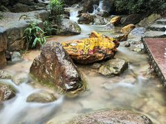 -南海湾森林生态园