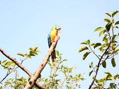 -伙工殿餐厅(吉大店)