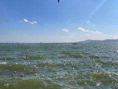-海埂大坝