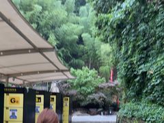 -将军关探险漂流