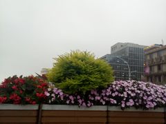 -沈家门渔港