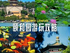 -颐和园