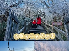 -梵净山旅游区