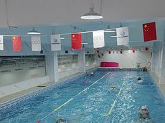 -小蓝鲸游泳培训基地(积水潭店)