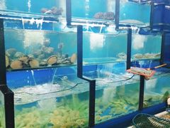 水产区-老东镇啤酒屋海鲜加工·蒸汽海鲜·海鲜烧烤(台东店)