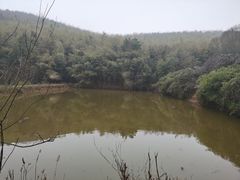 -南京市无想山景区