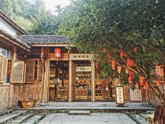 -杨家堂村