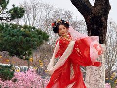 -武汉园博园(武汉自然博物馆)