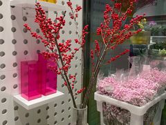-盒马X会员店(上海森兰商都店)