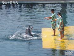 -秦皇岛乐岛海洋王国