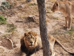 -西霞口神雕山野生动物世界
