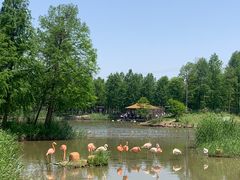-宁波杭州湾国家湿地公园