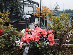 -渝信川菜(南滨店)