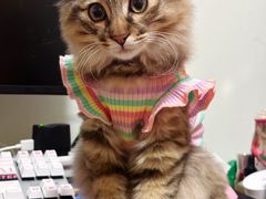 -爱侣宠医·鹦鹉专科·小型哺乳类·异宠专科(灵石路店)