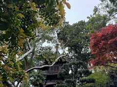 -豫园