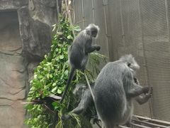 -南宁市动物园