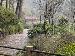-南山植物园