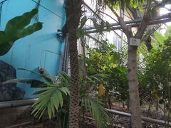 -呀路古热带植物园