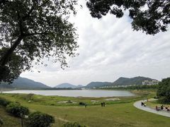 -风云岭森林公园