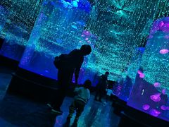-哈尔滨波塞冬海底世界