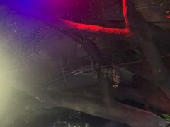 -梦幻海洋王国(吾悦广场张家港店)