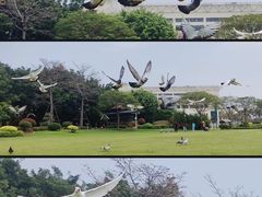 -白鹭洲公园