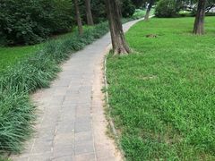 -仁和公园(顺义区)