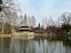 -习家池