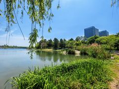 -美兰湖景区
