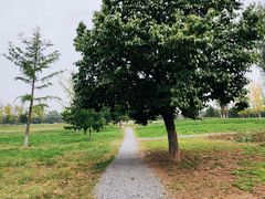 -汉长安城未央宫国家考古遗址公园