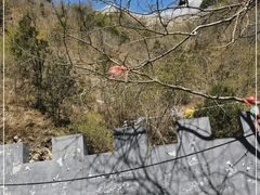-圣莲山风景区